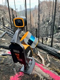 Monitoring forests post-fire